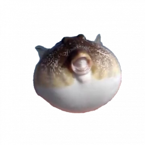 1zzlrer Hwnvzui1ib62gxwl I3avhebcgry Vzlpbyuxkjrnxvpbisbipuv6oopng — GS Camp S2 option 2