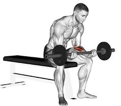 4curljpg — Gym Equipment option 1