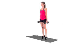 Crsjpg — Gym Equipment option 2