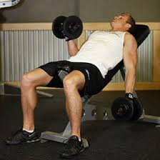 D Curljpg — Gym Equipment option 4
