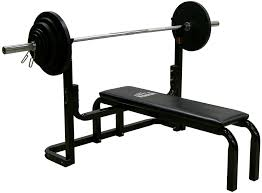 Downloadjpg — Gym Equipment option 6