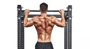 Pullzjpg — Gym Equipment option 15