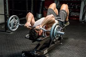 Skullkjpg — Gym Equipment option 20