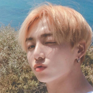 N 2jpg — hair color jungkook edition option 14