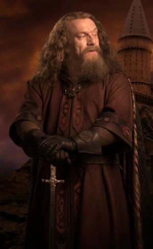 1d7c801033371d51e758baec1aeb1ceajpg — Harry Potter & Fantastic Beasts Characters option 2