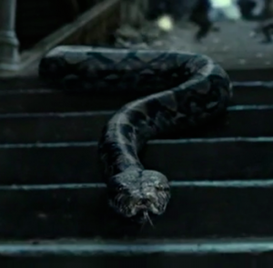 6385599b98997d57bf58a10235e08d3epng — Harry Potter & Fantastic Beasts Characters option 5