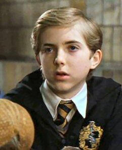 77ea2000fe024c130c835dbcb7913b18jpg — Harry Potter & Fantastic Beasts Characters option 11