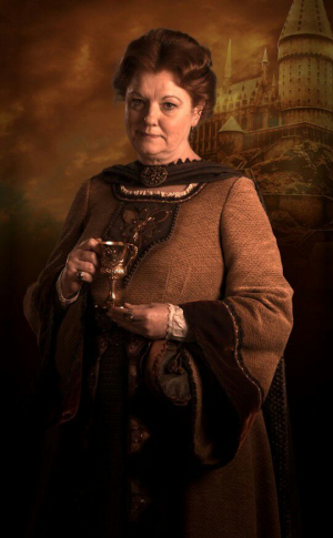 B8a6844a22e4dfc813454860409663e5b94ac228hqjpg — Harry Potter & Fantastic Beasts Characters option 20