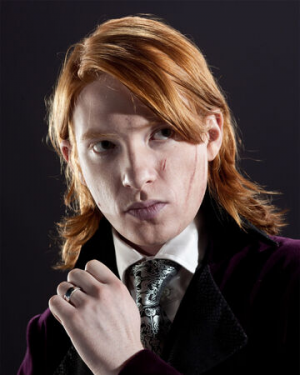 Billweasleyiijpg — Harry Potter & Fantastic Beasts Characters option 23