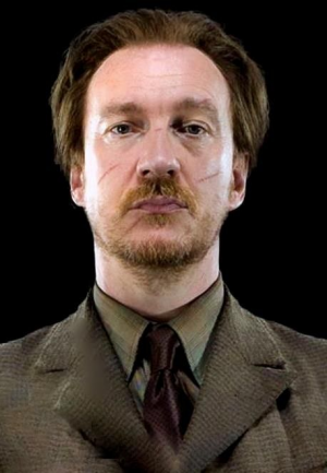 Cd756c0d707a9748af0bda3d26a28a8fjpg — Harry Potter & Fantastic Beasts Characters option 26