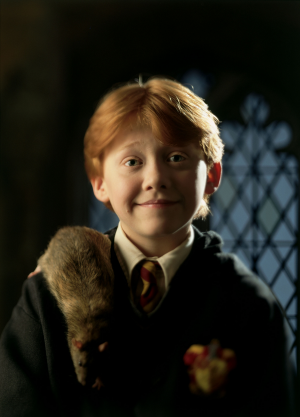 Ronweasleywbf1ronwithscabbersonshoulder00393692jpg — Harry Potter & Fantastic Beasts Characters option 89
