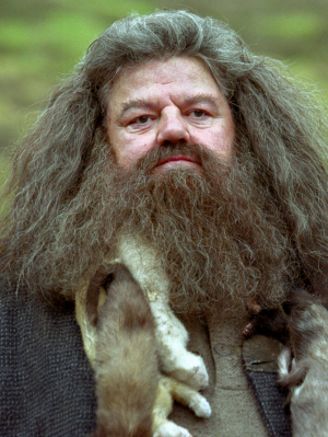 Rubeushagridpngpng — Harry Potter & Fantastic Beasts Characters option 90