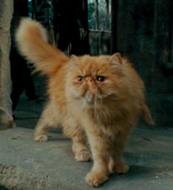 7cec17d936f3e0b9263c5a7d5d781e38png — Harry Potter Creatures Ranked option 5