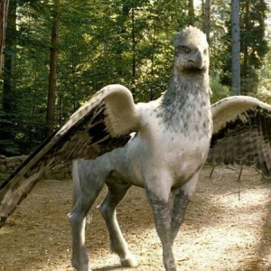 Buckpeakthehippogriff28harrypotter29profilejpg — Harry Potter Creatures Ranked option 11