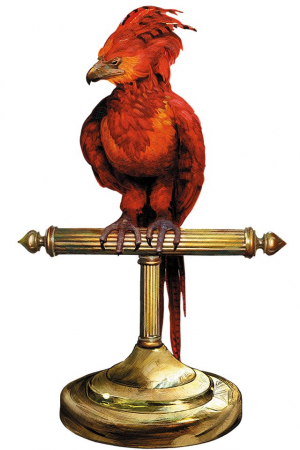 Fawkesjpg — Harry Potter Creatures Ranked option 18