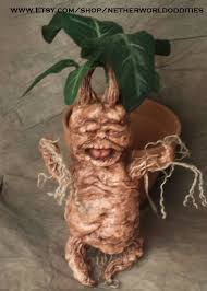 Mandrakejpg — Harry Potter Creatures Ranked option 25