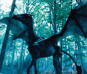 Thestralsgif — Harry Potter Creatures Ranked option 29