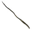 Grindelwaldwandnn8230jpg — harry potter wands option 13