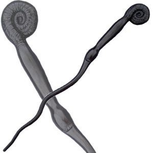 Zz1606197727peterpettigrewwandjpg — harry potter wands option 42