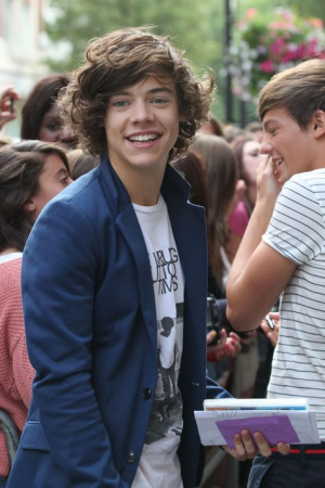 A3911981f245e42bbd7a6ffaaa7dab81jpg — harry styles eras option 13