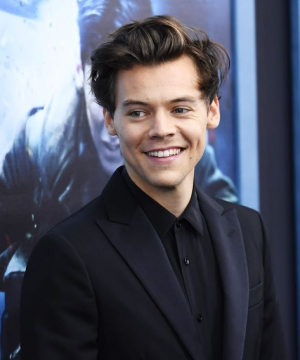 A8e151ad5c385b4a5729e33be82db004jpg — harry styles eras option 14