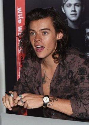 D809b7d16cdc06d2f17c4636d70b50f5jpg — harry styles eras option 17