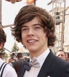 587a565a Dc49 43d8 A625 1277a380afebjpeg — Harry styles hairstyles ranked option 5
