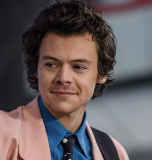 E5ac0128 0229 4d04 B011 Ce5d5dedc7eejpeg — Harry styles hairstyles ranked option 16
