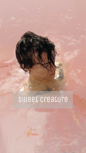 Picsart01 18 061650jpg — harry styles songs and covers option 5