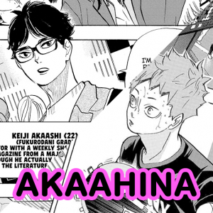 Akaahinajpg — Hinata Harem Ships option 1