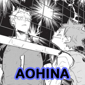 Aohinajpg — Hinata Harem Ships option 2