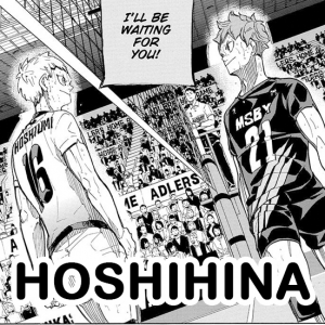 Hoshihinajpg — Hinata Harem Ships option 5
