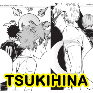Tsukihinajpg — Hinata Harem Ships option 16