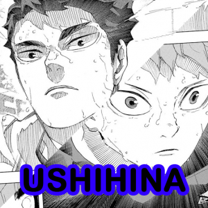 Ushihinajpg — Hinata Harem Ships option 17