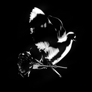 79b0cba4b8d708fdf56531cb1f1d9f951000x1000x1png — Hip Hop Albums of 2020 option 18