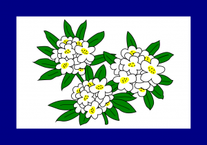 West Virginia1png — Historical State and Territory Flags option 62