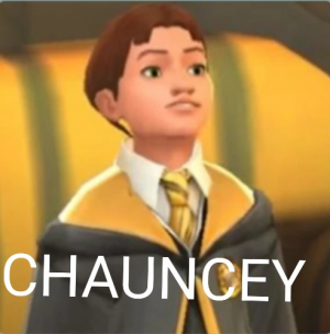 20201129015052jpg — Hogwarts mystery  ultimate characters tier list option 112