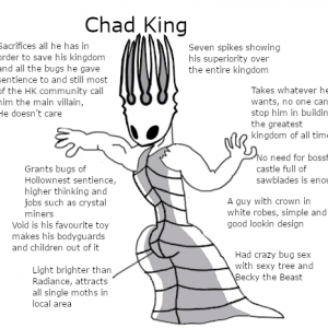 Uhkggp8so5q31png — Hollow Knight Memes option 22