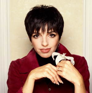 Zz1654385991liza Minnelli Herojpg — Hollywood Nepotism Baby Ranking option 33