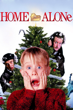 P12872vv8abjpg — Home Alone movies option 2