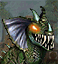 H8gif — HoMM 3 Horn of the Abyss - All creatures option 111