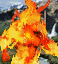 I7gif — HoMM 3 Horn of the Abyss - All creatures option 124