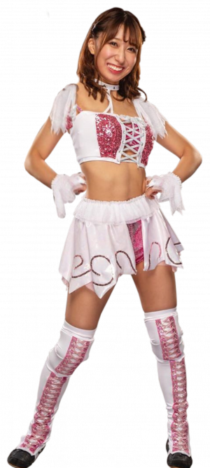 Rihoaewpng — Hottest women's wrestlers aew & wwe option 60