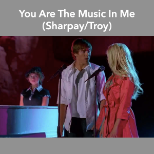 Screenshot 2020 07 07 At 185523png — hsm songs option 16