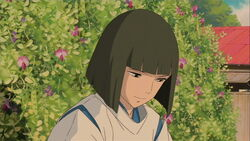 Hakuspiritedawayjpg — Husbando Wars option 76