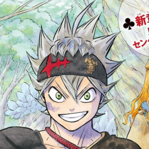Astaafterheartkingdomtrainingpng — Husbando Wars option 43