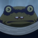 Frogcaportraitpng — HxH PowerScale option 36