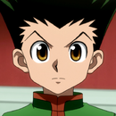 Gonfreecsscaportraitpng — HxH PowerScale option 42