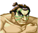 Sf2hf Honda Portraitgif — Hyper Fighting Tier List option 6
