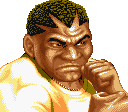 Sf2hf Rog Portraitgif — Hyper Fighting Tier List option 8